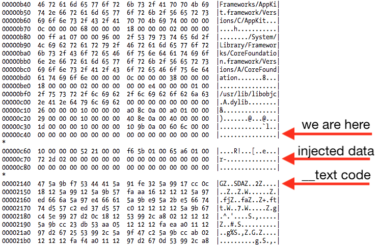 data loop is searching for